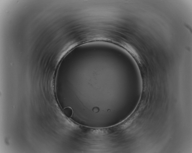 X0000096390806200801311320