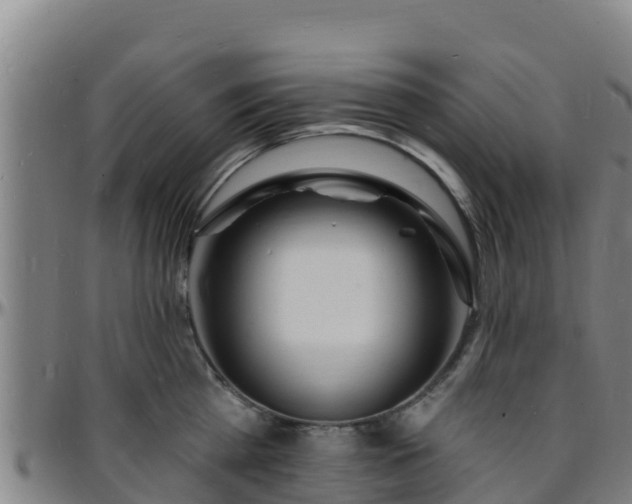 X0000096390809200801311320