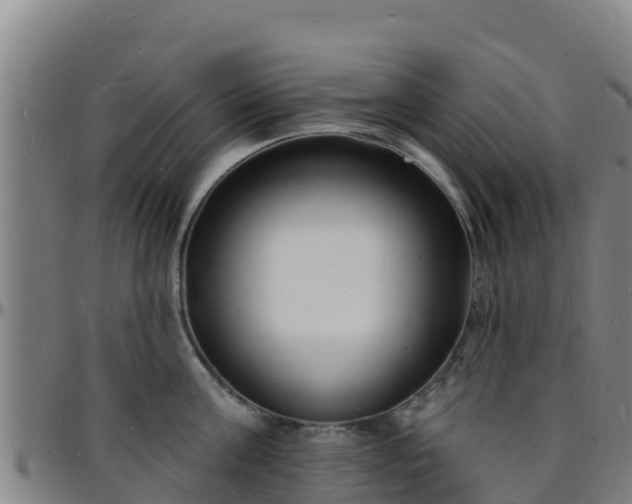 X0000096390811200801311320