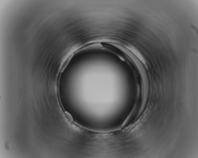X0000096390813200801311320