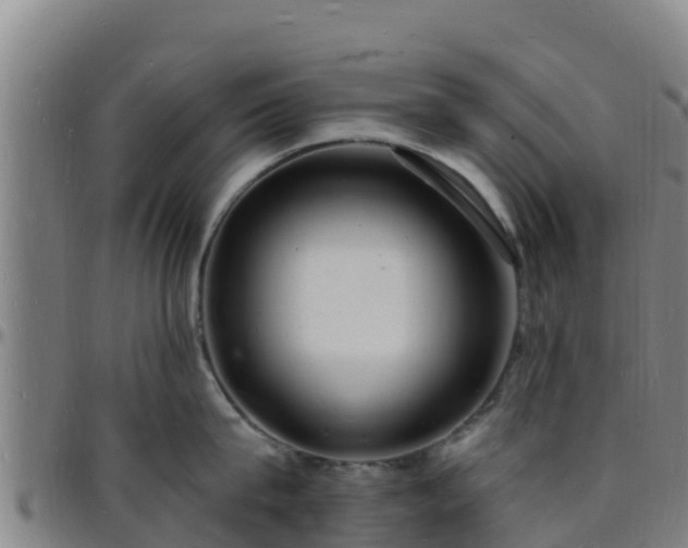 X0000096390815200801311320
