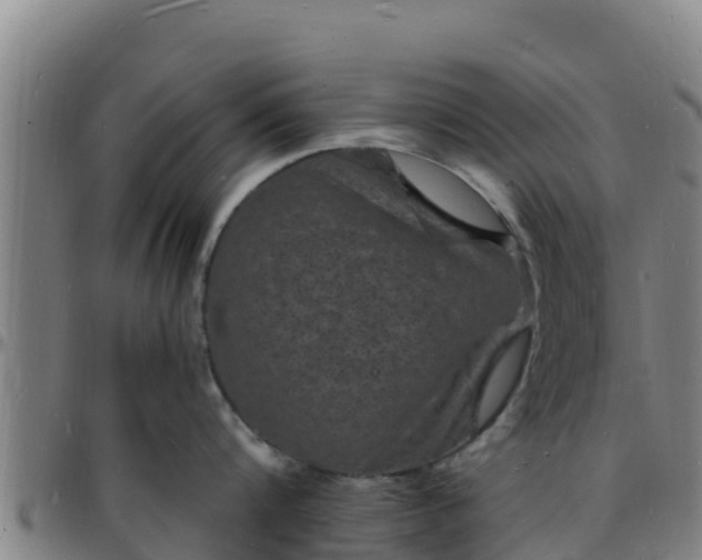 X0000096390816200801311320
