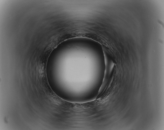 X0000096390818200801311319