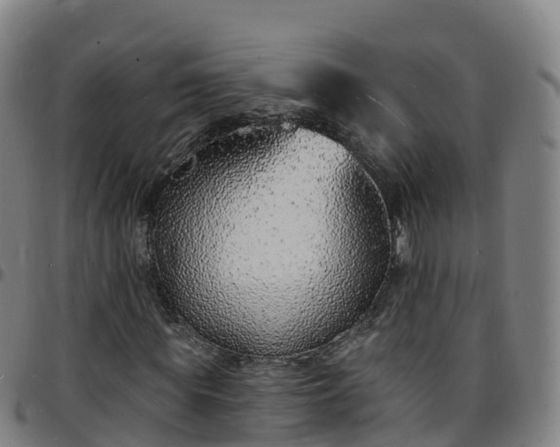 X0000096390819200801311319