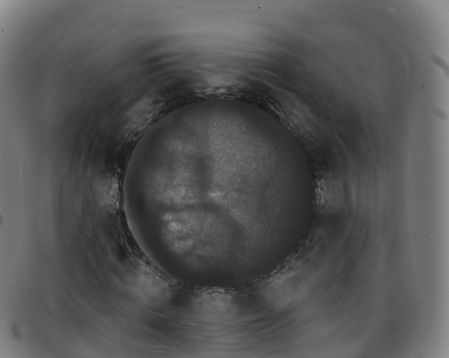 X0000096390820200801311319