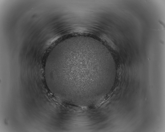 X0000096390822200801311319