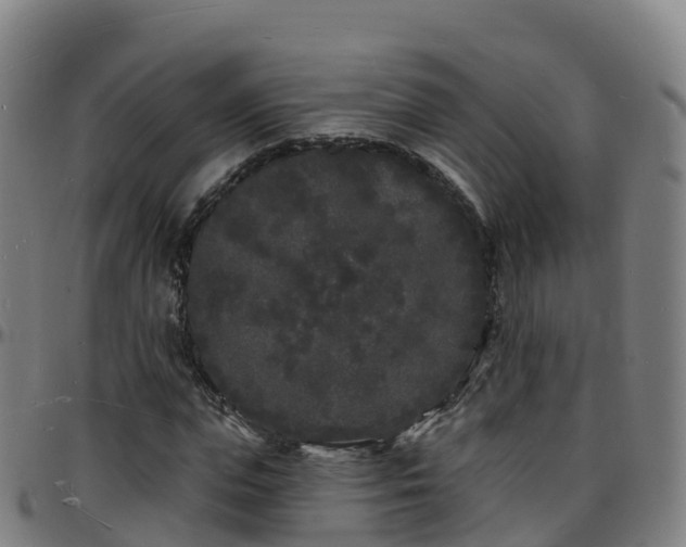 X0000096390823200801311319