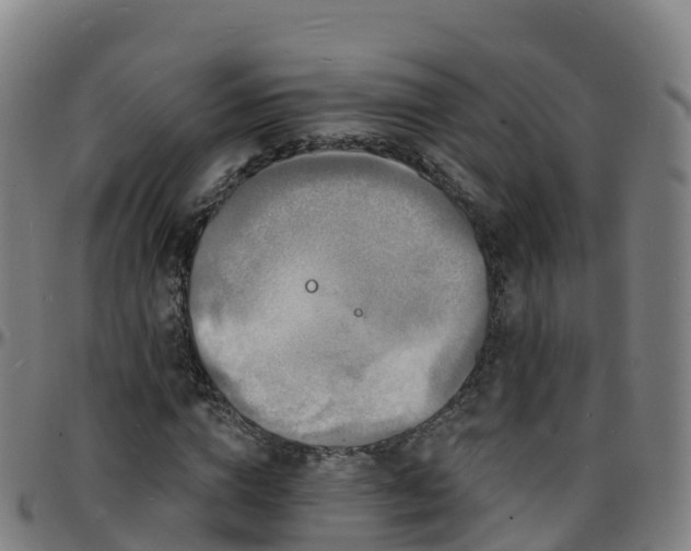 X0000096390824200801311319