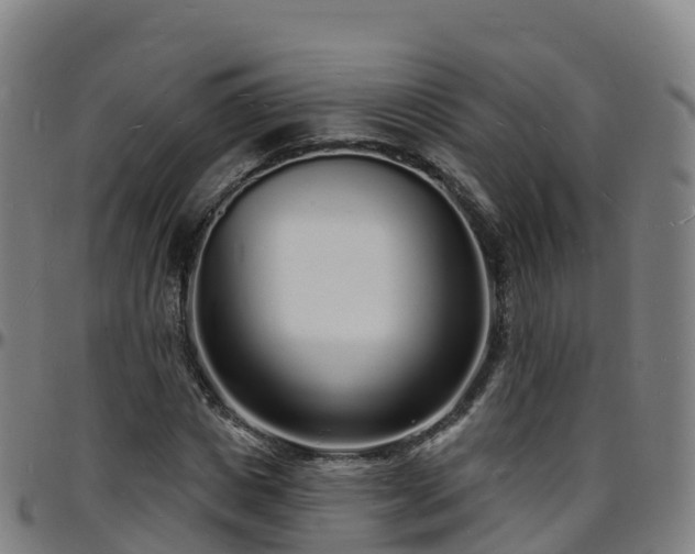 X0000096390825200801311319