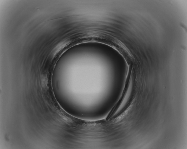 X0000096390826200801311319