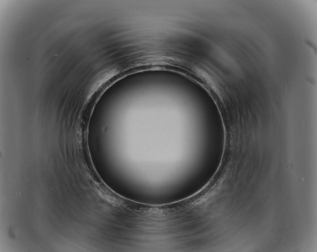 X0000096390827200801311319
