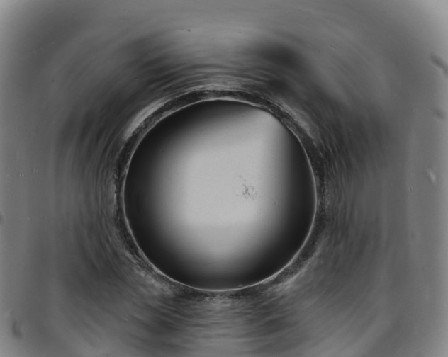 X0000096390829200801311319