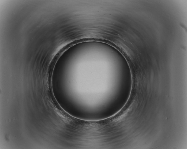 X0000096390830200801311319