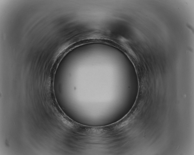 X0000096390831200801311319