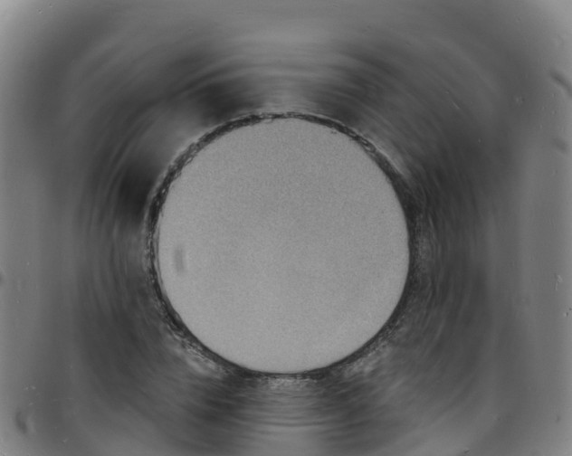 X0000096390832200801311319