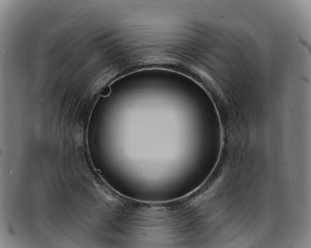 X0000096390833200801311319