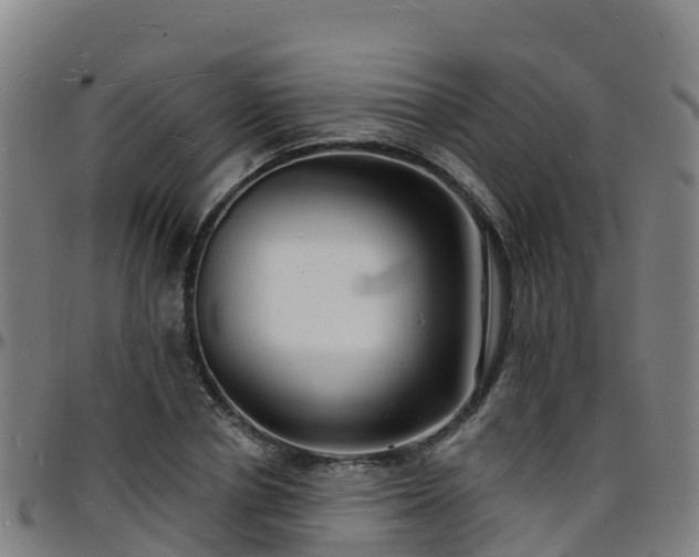 X0000096390834200801311319