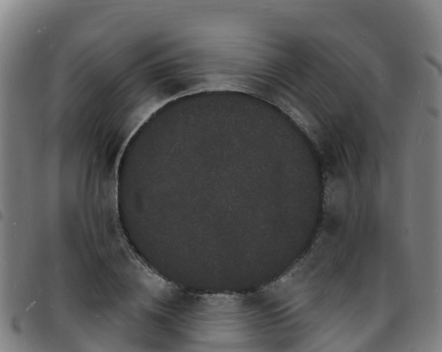X0000096390836200801311319