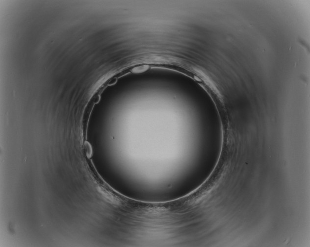 X0000096390837200801311319