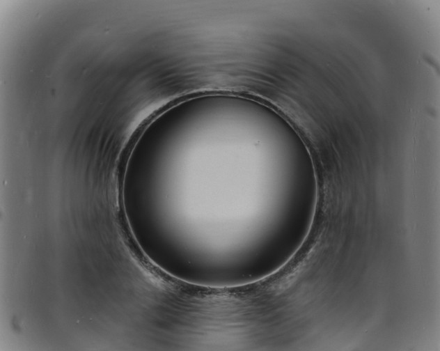 X0000096390838200801311319