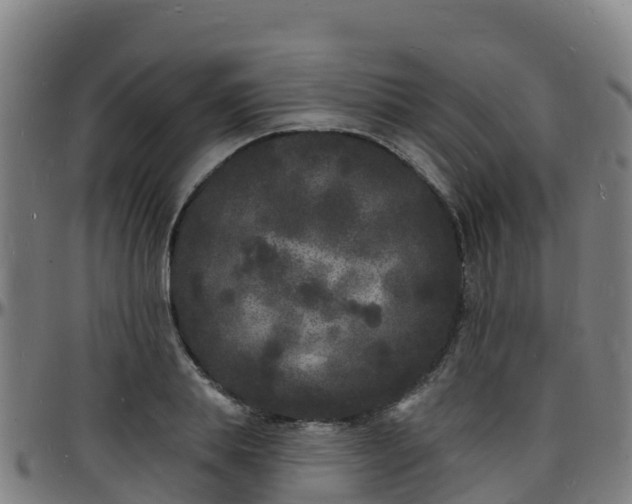 X0000096390839200801311319