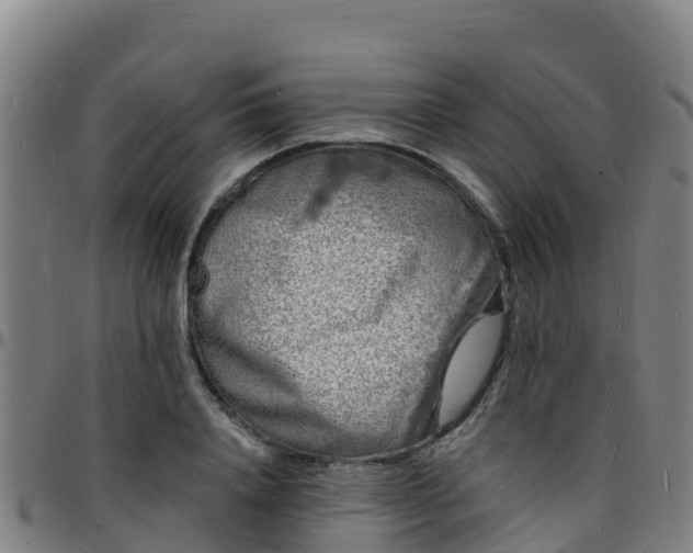 X0000096390840200801311319