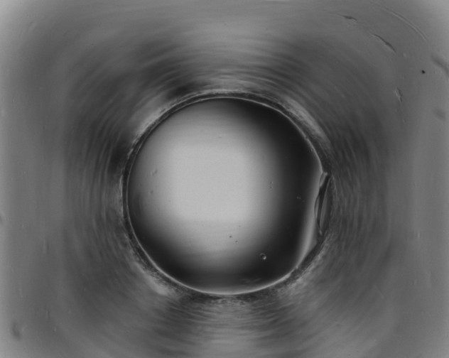 X0000096390842200801311319