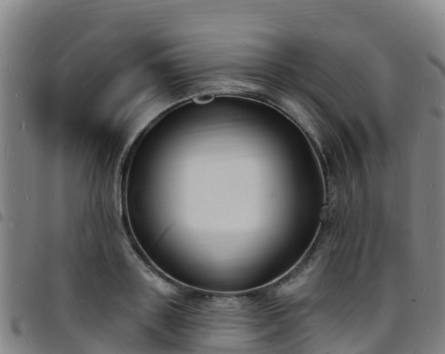 X0000096390843200801311319
