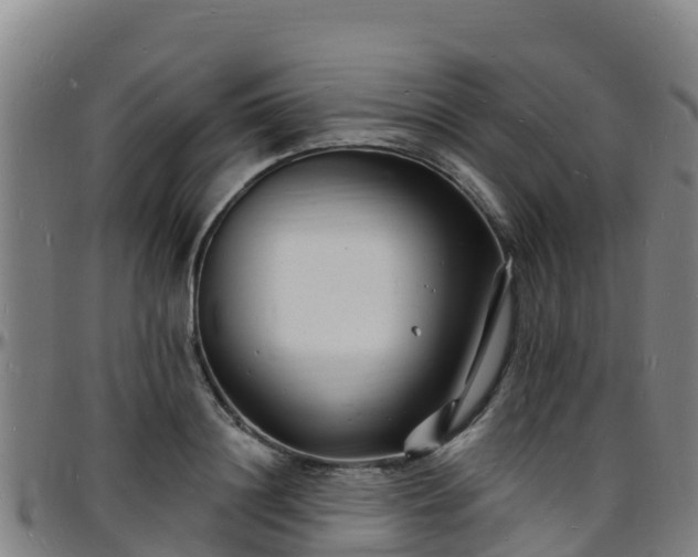 X0000096390844200801311319