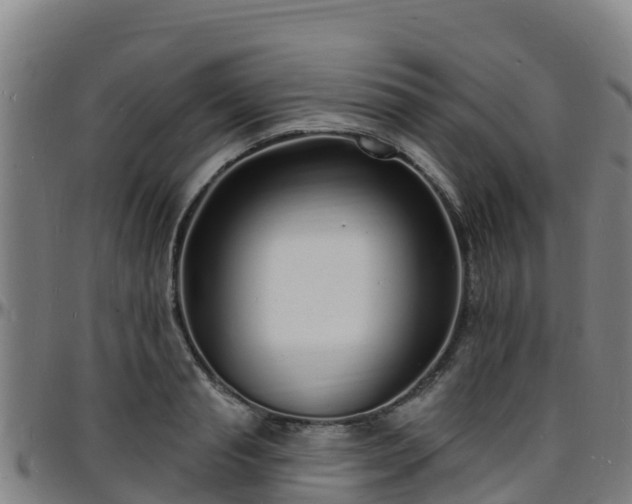 X0000096390845200801311319