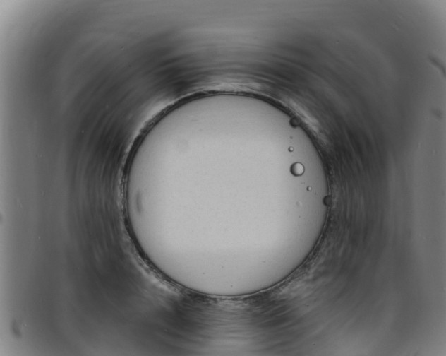 X0000096390848200801311319