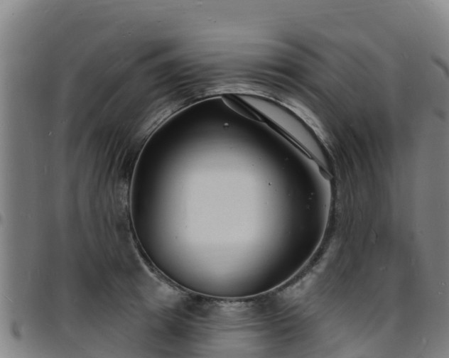 X0000096390849200801311319
