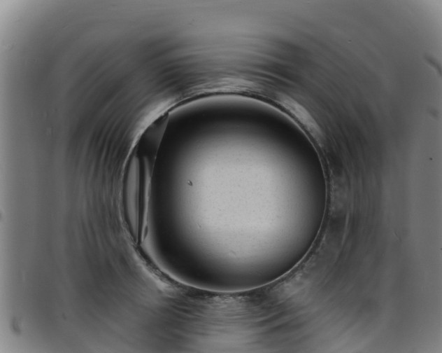 X0000096390850200801311319