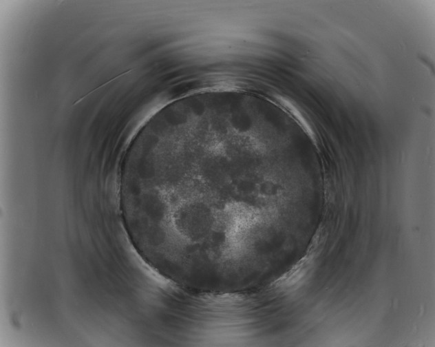 X0000096390851200801311319