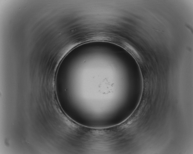 X0000096390852200801311319