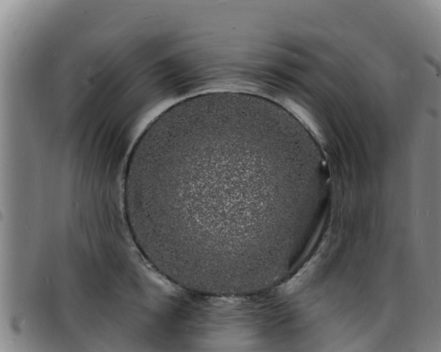 X0000096390854200801311319