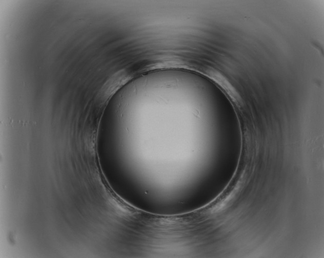 X0000096390857200801311320