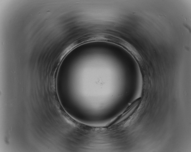 X0000096390858200801311320