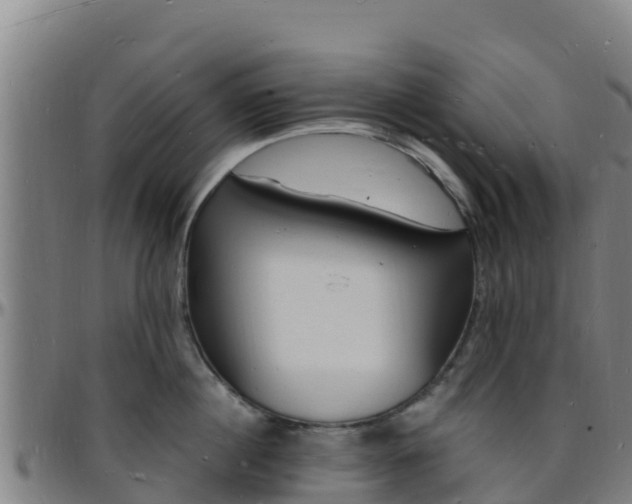 X0000096390860200801311320