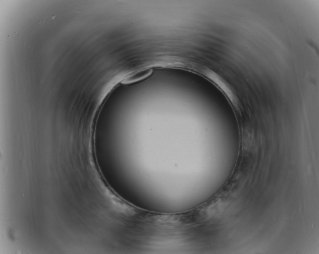 X0000096390861200801311320