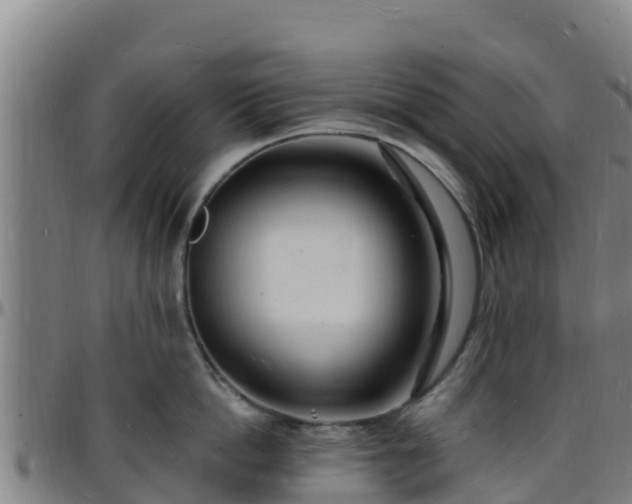 X0000096390862200801311320
