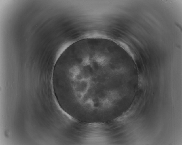 X0000096390863200801311320