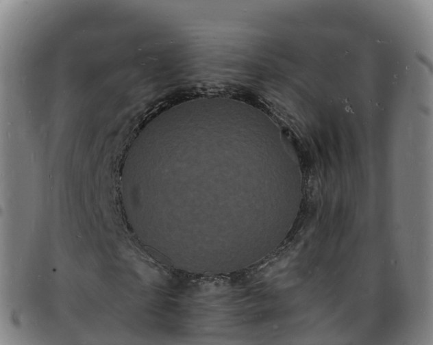 X0000096390865200801311319