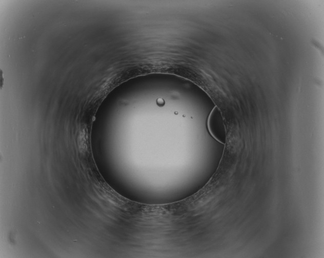 X0000096390866200801311319
