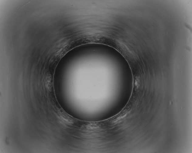 X0000096390867200801311319
