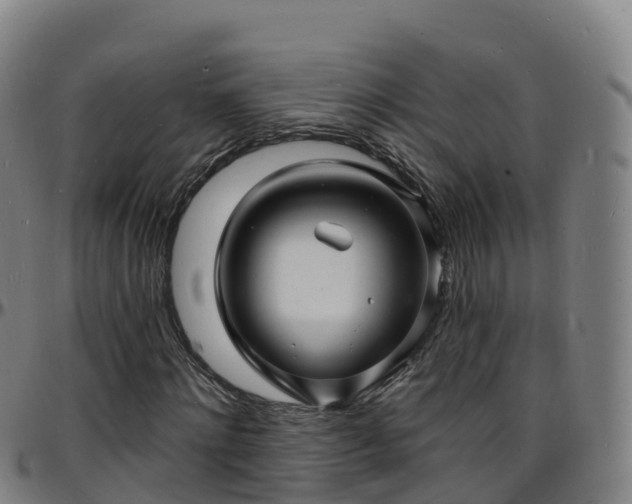 X0000096390868200801311319