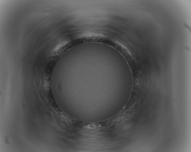 X0000096390869200801311319