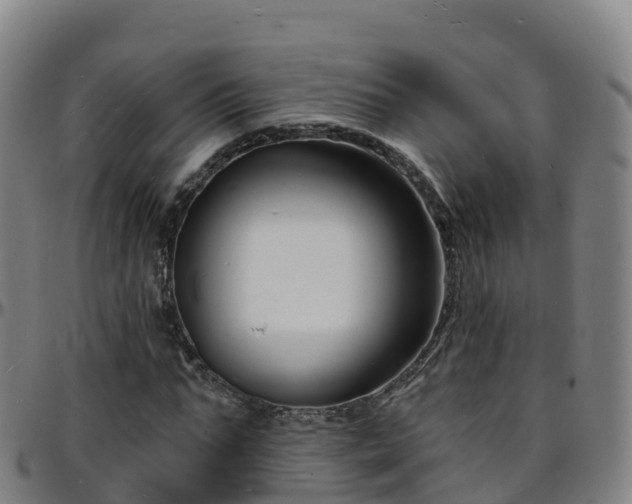 X0000096390871200801311319
