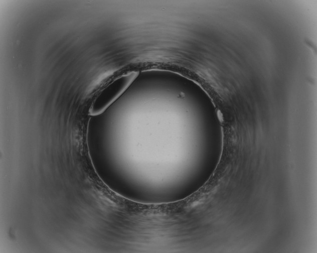 X0000096390872200801311319