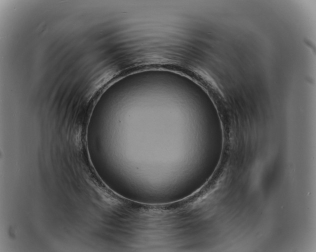 X0000096390873200801311319
